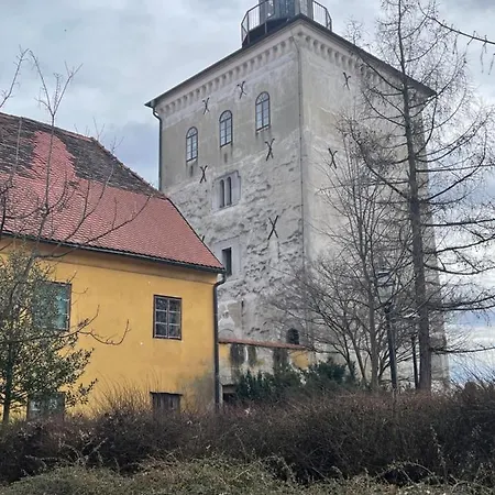 Apartment Grich Witch